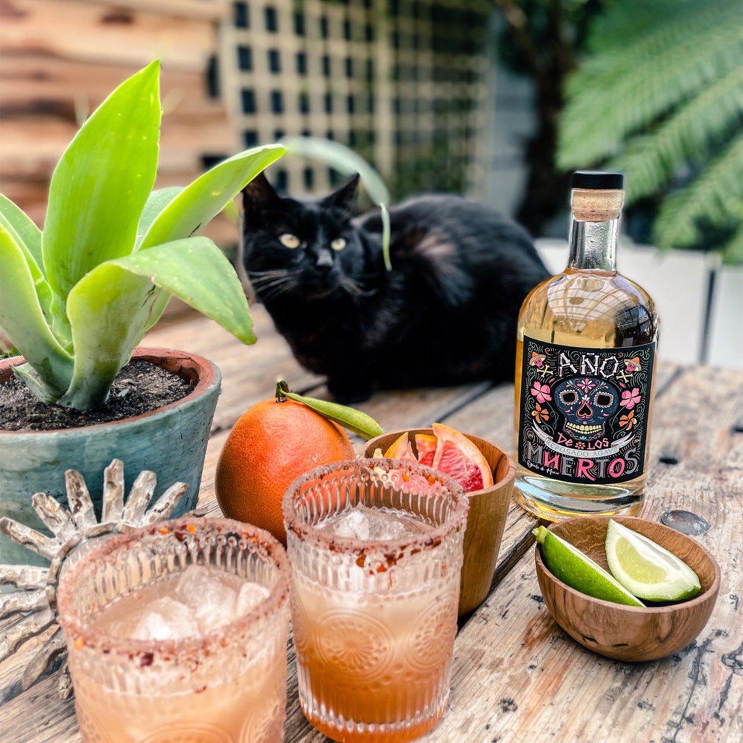 Año de los Muertos Agave