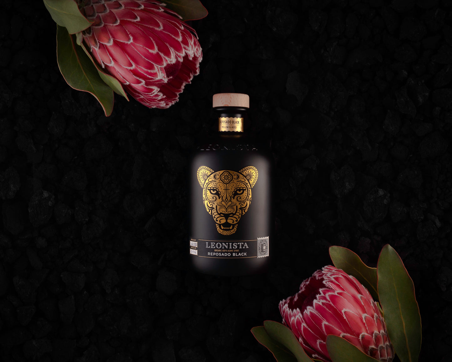 Leonista Black