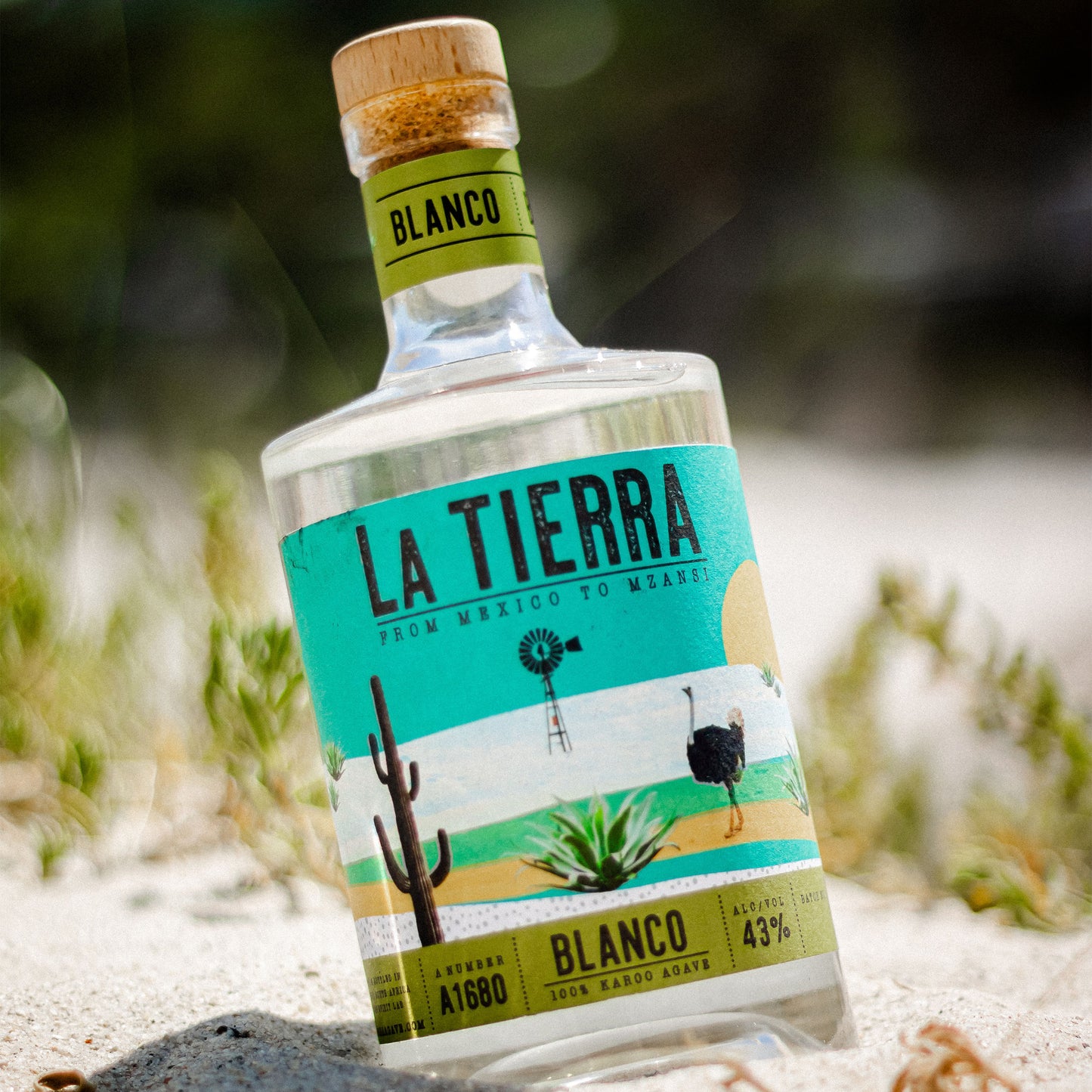 La Tierra Blanco