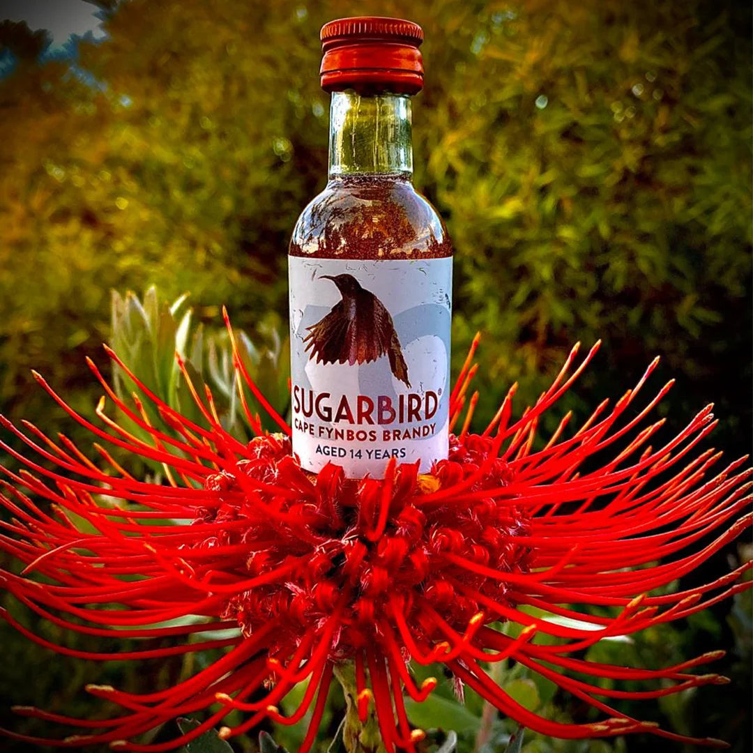 Sugarbird XO Brandy - 40ml mini