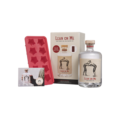 Lean On Me - DIY Kit