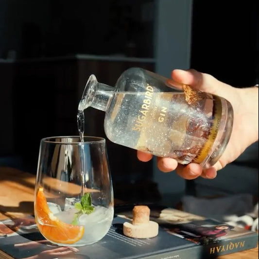 African Skies Glitter Gin