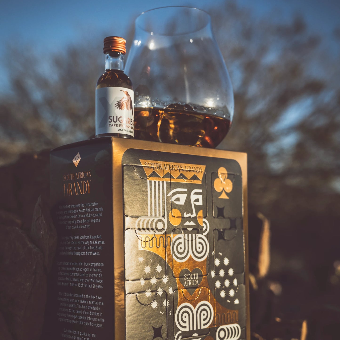 Sugarbird & Friends 12 Brandy Showcase